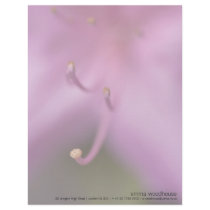 Purple Azalea Letterhead