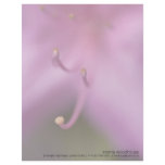 Purple Azalea Letterhead