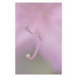 Purple Azalea Stationery Design
