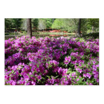 Purple Azaleas Flowers Business Card Template