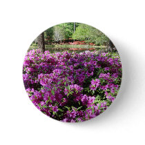 Purple Azaleas Flowers