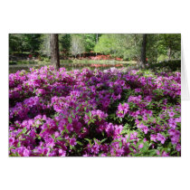 Purple Azaleas Flowers Cards