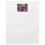 Purple Azaleas Flowers flyers