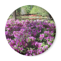 Purple Azaleas Flowers Fridge Magnets