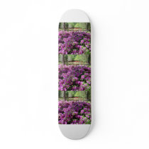 Purple Azaleas Flowers