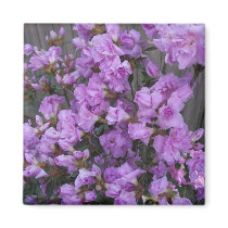 Purple Azaleas Merchandise Magnet