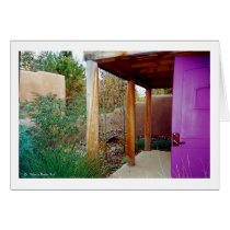 "Purple Back Door" cards