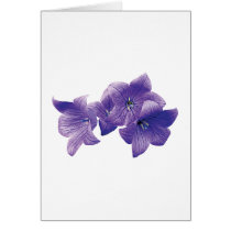 Purple Balloon Flowers cards by SusanSavad Purple Balloon Flowers cards