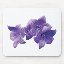 Purple Balloon Flowers Mouse Mats