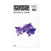 Purple Balloon Flowers Postage Stamps