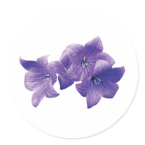 Purple Balloon Flowers Sticker