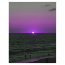 purple beach flyers by danielle2124 purple beach flyers