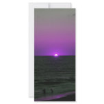 purple beach rack card template