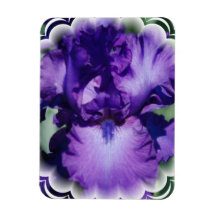 Purple Bearded Iris Premium Magnet