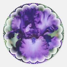 Purple Bearded Iris Sticker