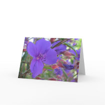 Purple Beauties cards by lmitic Purple Beauties cards