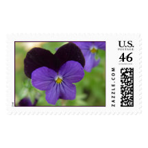 Purple Beauty Stamp
