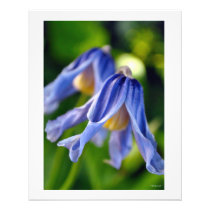 Purple Bell Flowers Wall Decor Photo