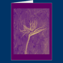 Purple Bird of Paradise cards