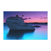 Purple Bliss, Bonsai Rock Gallery Wrapped Canvas
