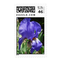 Purple Bloom postage