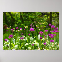 Purple Bloom Poster