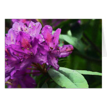 Purple Blossom cards