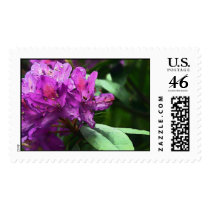 Purple Blossom (Stamps)