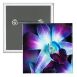 Purple & Blue Dendrobium Orchid Customized Orchids Buttons
