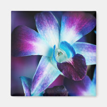 Purple & Blue Dendrobium Orchid Customized Orchids Refrigerator Magnet