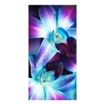 Purple & Blue Dendrobium Orchid Customized Orchids Personalized Photo Card