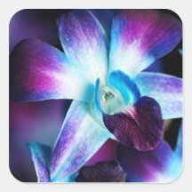 Purple & Blue Dendrobium Orchid Customized Orchids Stickers