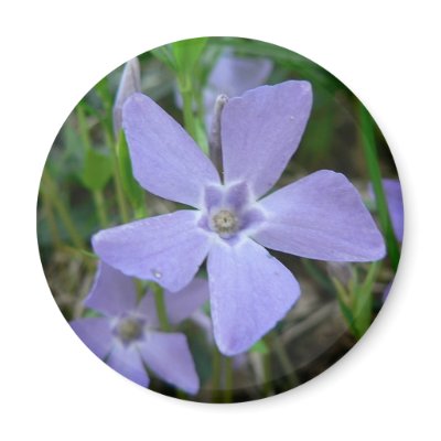Purple Blue Flower Refrigerator Magnet by lifesphere