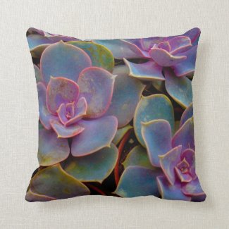 Purple Blue Green Succulent Cactus Plant Pillows