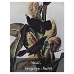 Purple Boat Tail By Audubon John James Flyers