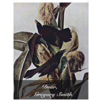 Purple Boat Tail By Audubon John James Flyers