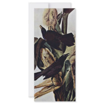 Purple Boat Tail By Audubon John James Personalized Rack Card