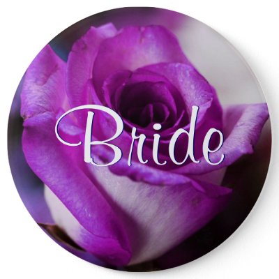 Purple Bride Rose Pinback Buttons