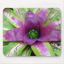 Purple Bromeliad Mousepad