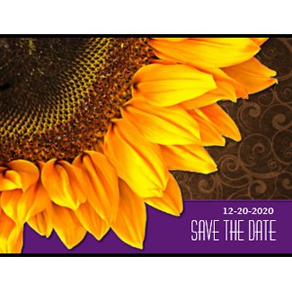 Purple & Brown Sunflower Wedding Save the Dates postcard