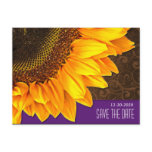Purple & Brown Sunflower Wedding Save the Dates Postcard