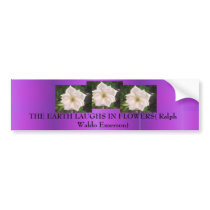 purple bumper bumper stickers