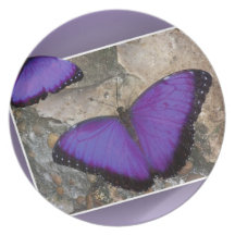 Purple Butterflies Party Plates