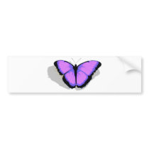 Purple Butterfly! bumper stickers