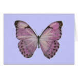 Purple Butterfly Card
