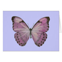 Purple Butterfly Card