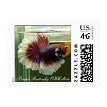 Purple Butterfly OHM Male Postage Stamp