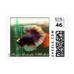 Purple Butterfly OHM Male Postage Stamps