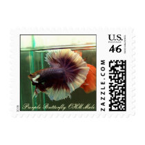 Purple Butterfly OHM Male Postage Stamps