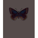 Purple Butterfly t-shirts by Lidusik Purple Butterfly t-shirts